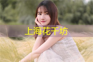 夜上海的魅力无限：探寻城市夜生活新时尚