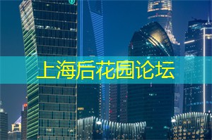 梦幻茶园中的蜜月之旅！上海新茶工作室让你心旷神怡！
