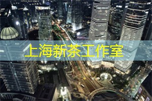 爱上海同城论坛：闪耀的大都市：夜上海的时尚与奢华