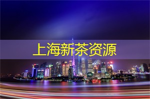 与明星共舞：在夜上海的热门派对中尽情释放自己！
